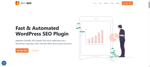 Slim SEO
